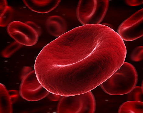 Stoffwechselerkrankungen