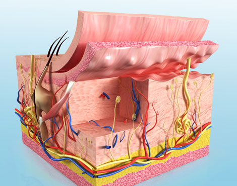 Hauterkrankungen-Akne-Schuppenflechte